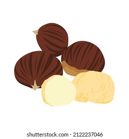 Chestnut, Set of chestnut isolated on white background, vector illustration.