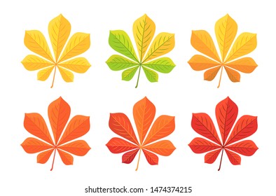 Chestnut. Set of isolated vector illustrations of chestnuts and yellow and green autumn leaves in flat style on white background.