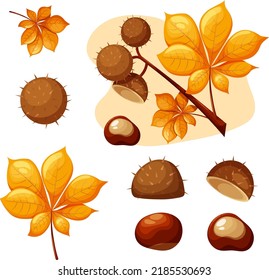 Chestnut set with leaves. A chestnut branch in cartoon style. Autumn illustration