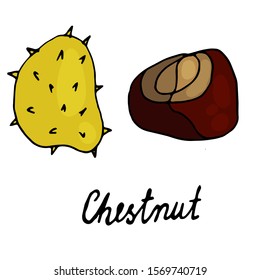 Chestnut set with lettering. Nuts hand drawn. Healthy food in cartoon style.