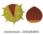 Chestnut Set. Spiky Shell and Peeled Nut for Autumn. Fresh Fall Edible Chestnuts