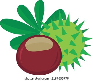 chestnut with shell and leaves