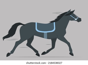 Chestnut shiny black horse galloping free isolated. A black horse isolated on a white background. He is trotting and is mainly in profile. With a long black mane and tail, he is also very muscular.