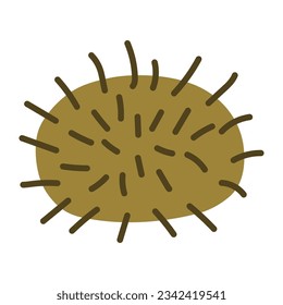 Chestnut with spines hand drawn illustration. Cartoon style flat design, isolated vector. Kids autumn, fall print, seasonal plant element, woodland, park, outdoors, nature