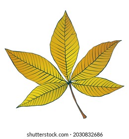 Chestnut striped autumn gold leaves silhouette isolated on white background. Simple hand-drawn sketch-style vector illustration.