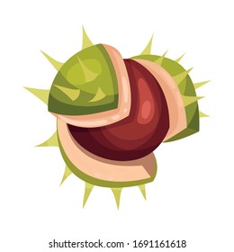 Kastanie mit Geschirrspüler und brauner Nut Vektorillustration Illustration