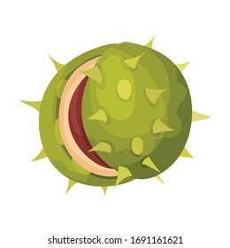 Chestnut with Thorned Shell and Brown Nut Inside Vector Illustration