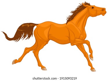 Chestnut thoroughbred horse galloping with its head up. Running stallion laid its ears back. Vector illustration for decoration of equestrian goods.