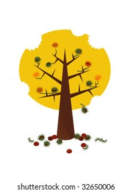 Chestnut tree in autumn