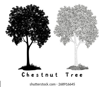 Chestnut tree Black Silhouette, Contours and Inscriptions Isolated on White Background. Vector