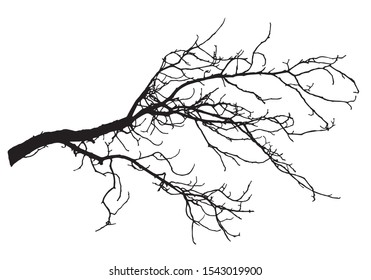 Chestnut tree branch silhouette, vector illustration.