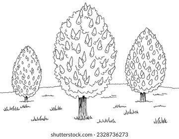 Chestnut tree grove graphic black white landscape sketch illustration vector