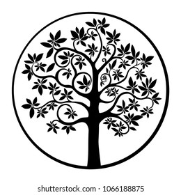 Chestnut tree isolated on white background. Horse-chestnut (Aesculus hippocastanum, Conker tree).  Vector illustration