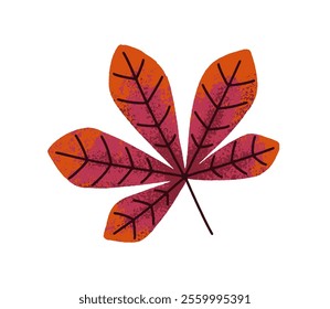 Chestnut tree leaf. Autumn seasonal foliage. Red dry botanical decor. Natural forest design element, decoration. Dried herbarium icon. Flat graphic vector illustration isolated on white background