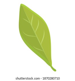 Chestnut tree leaf icon. Cartoon of chestnut tree leaf vector icon for web design isolated on white background