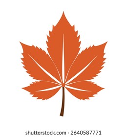 chestnut tree leaf on white background design