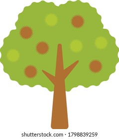 The chestnut tree which produced fruits in the autumn