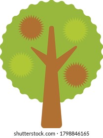 The chestnut tree which produced fruits in the autumn