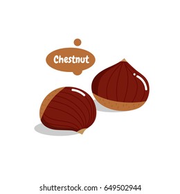 Chestnut Vector