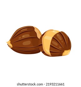 Chestnut vector icon.Cartoon vector icon isolated on white background chestnut.