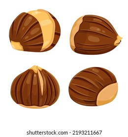 Chestnut vector icon.Cartoon vector icon isolated on white background chestnut.