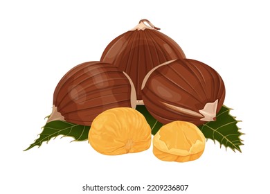 Chestnut vector icon.Cartoon vector icon isolated on white background chestnut.