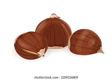 Chestnut vector icon.Cartoon vector icon isolated on white background chestnut.