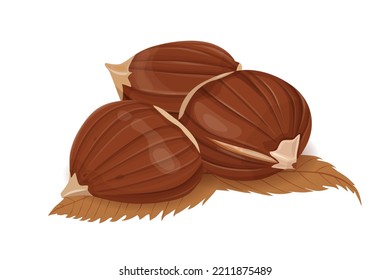 Chestnut vector icon.Cartoon vector icon isolated on white background chestnut.