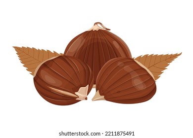 Chestnut vector icon.Cartoon vector icon isolated on white background chestnut.