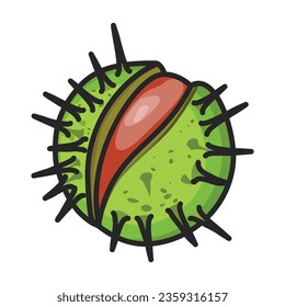 Icono vectorial de castaño.Icono vectorial de color aislado en castaño de fondo blanco.