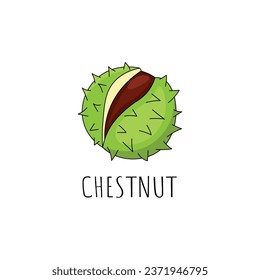 Chestnut vector icon.outline vector icon на білому pozadí chestnut.
