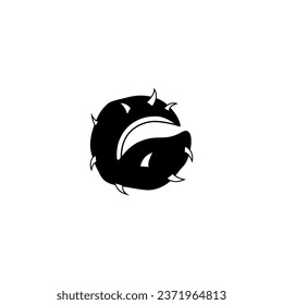 Chestnut vector icon.outline vector icon на білому pozadí chestnut.
