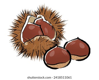 Chestnut vector illustration brush writing