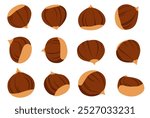 Chestnut vector isolated on white background.