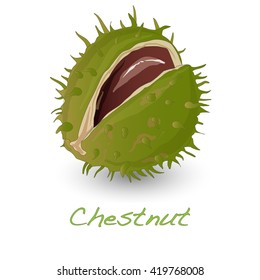 chestnut vector isolated on white 