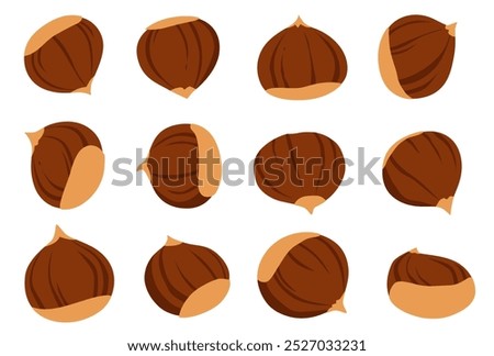 Chestnut vector isolated on white background.
