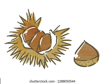 chestnut with watercolor texture