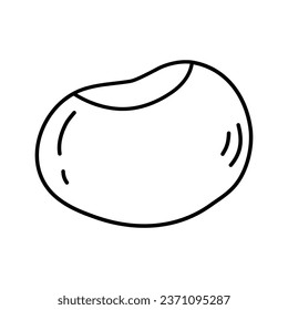 Chestnut without shell, autumn design element, doodle style flat vector outline for coloring book