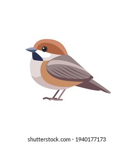 Chestnut-backed Chickadee (Poecile rufescens). Sparrow bird cartoon flat style beautiful character of ornithology, vector illustration isolated on white background.