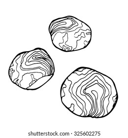 chestnuts