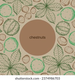 Chestnuts background hand drawn frame border with plant. Backdrop with tree leaf, fruit for logo, design, template, card, print, paper, label.Organic product, food, wood, sweet chestnut vector 