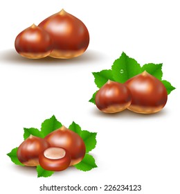 Chestnuts Big Set With Gradient Mesh, Vector Illustration