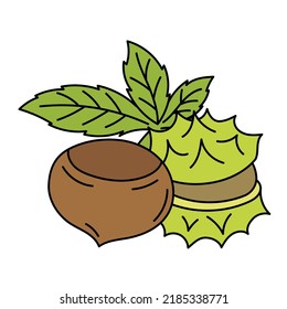 The chestnuts. Cooking ingredient. Vector illustration.
