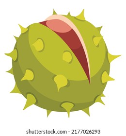 Chestnuts cracked shell with prickles. Vector illustration. Design element for poster, packaging, banner and wrapping paper