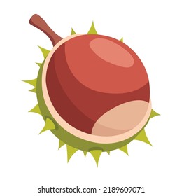 Chestnuts cracked shell with prickles. Vector illustration. Design element for poster, packaging, banner and wrapping paper