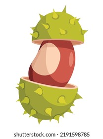 Chestnuts cracked shell with prickles. Vector illustration. Design element for poster, packaging, banner and wrapping paper