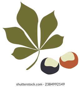 Chestnuts and Green leaf. Set Vector Illustration isolated on a white background. Autumn design elements, Botany Decoration. Delicious food, Garden harvest. Flat style Graphic