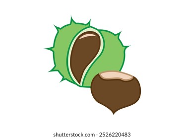 Chestnuts with green pods with spikes on a white background