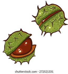 chestnuts Illustration