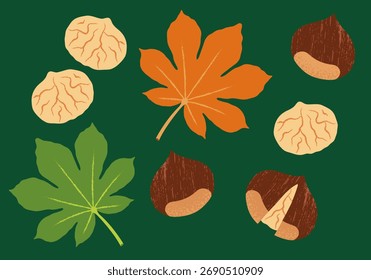 Ilustraciones vectoriales de castañas, incluyendo nueces enteras, cáscaras agrietadas y granos. Perfecto para el envasado de alimentos, diseños de recetas y proyectos de alimentación saludable. 